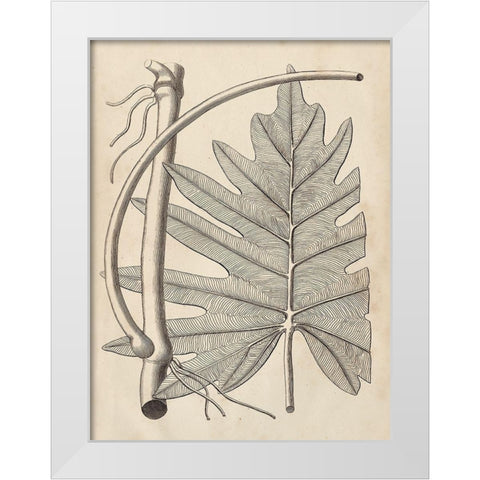 Distinctive Leaves I White Modern Wood Framed Art Print by Vision Studio