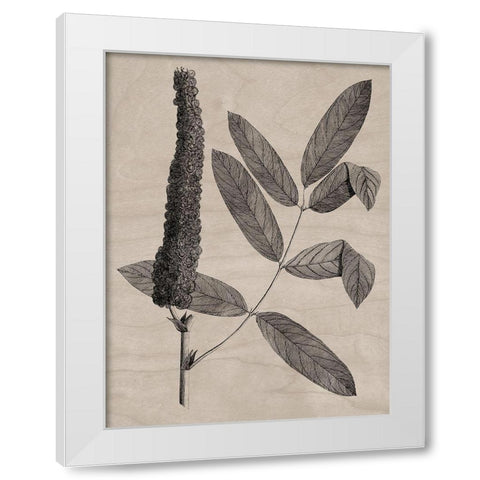 Eloquent Leaves I White Modern Wood Framed Art Print by Vision Studio