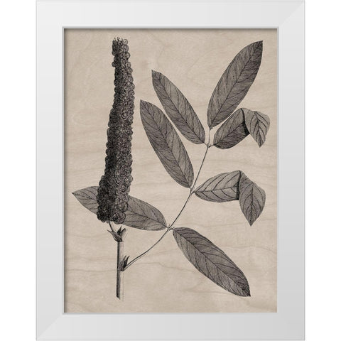 Eloquent Leaves I White Modern Wood Framed Art Print by Vision Studio