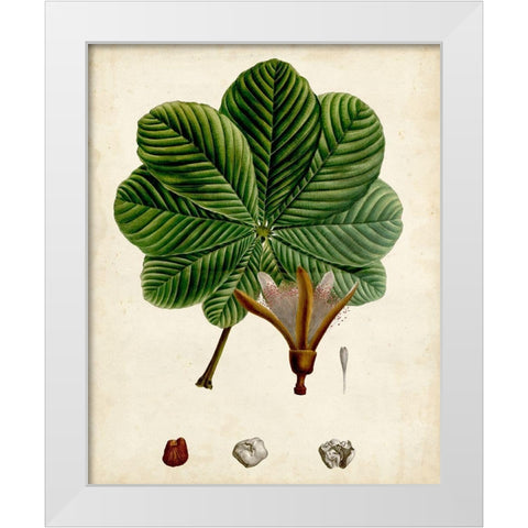 Verdant Foliage II White Modern Wood Framed Art Print by Vision Studio