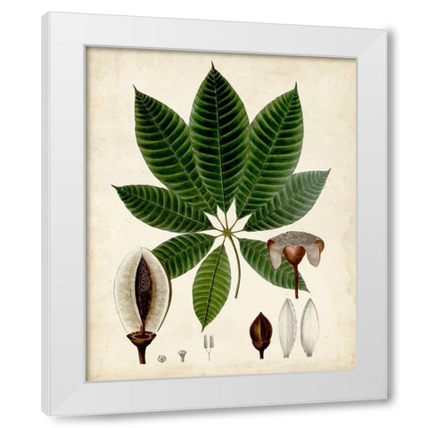 Verdant Foliage VII White Modern Wood Framed Art Print by Vision Studio