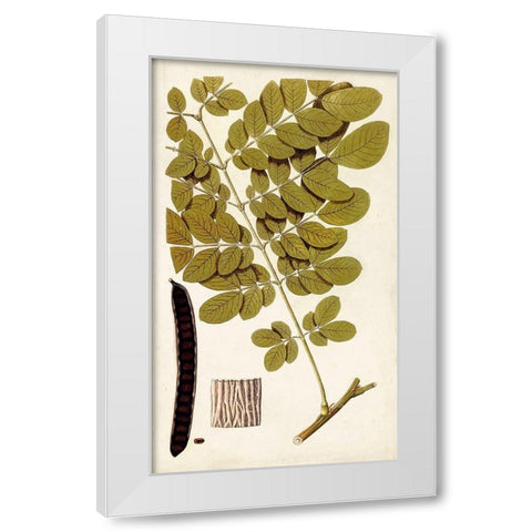 Leaf Varieties I White Modern Wood Framed Art Print by Vision Studio