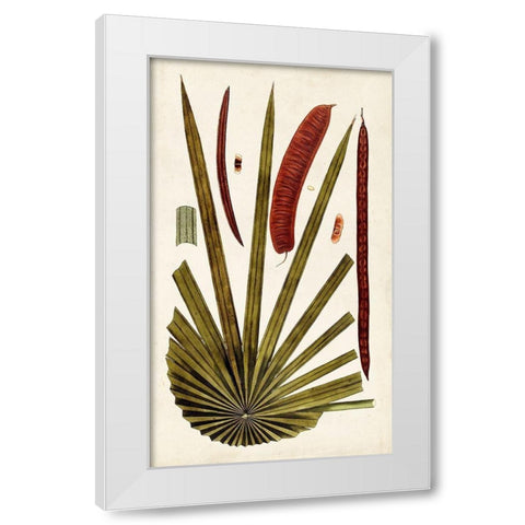 Leaf Varieties VI White Modern Wood Framed Art Print by Vision Studio