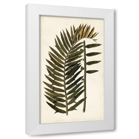 Leaf Varieties VIII White Modern Wood Framed Art Print by Vision Studio