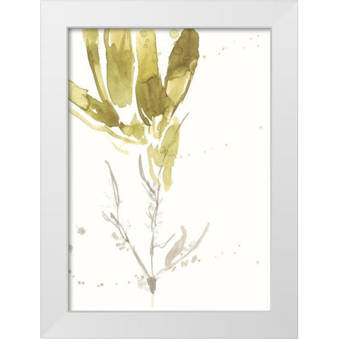 Under Sea Forest VI White Modern Wood Framed Art Print by Goldberger, Jennifer