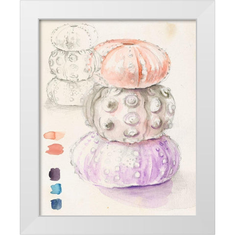 Sea Urchin Sketches I White Modern Wood Framed Art Print by Parker, Jennifer Paxton