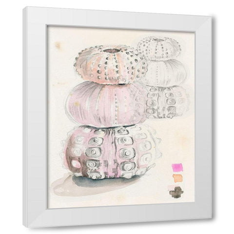Sea Urchin Sketches II White Modern Wood Framed Art Print by Parker, Jennifer Paxton