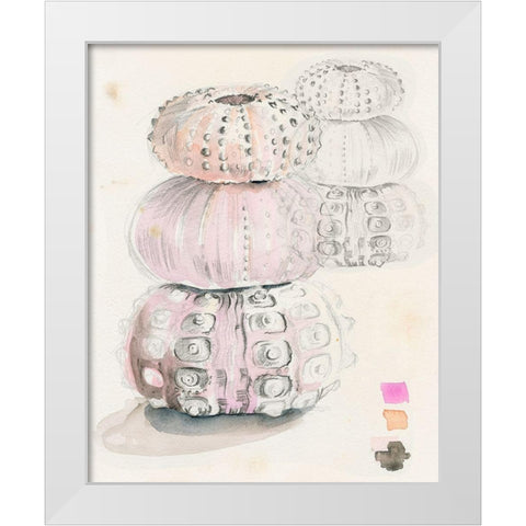 Sea Urchin Sketches II White Modern Wood Framed Art Print by Parker, Jennifer Paxton