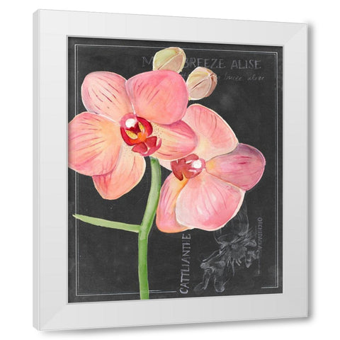 Chalkboard Flower I White Modern Wood Framed Art Print by Parker, Jennifer Paxton