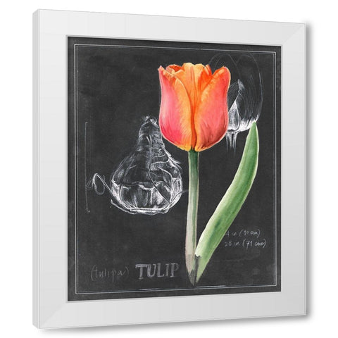 Chalkboard Flower III White Modern Wood Framed Art Print by Parker, Jennifer Paxton