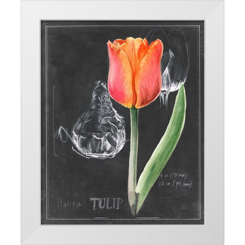 Chalkboard Flower III White Modern Wood Framed Art Print by Parker, Jennifer Paxton