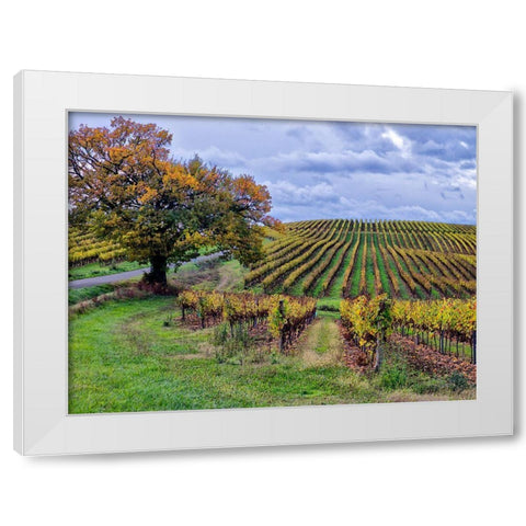 Pastoral Countryside I White Modern Wood Framed Art Print by Chester, Colby