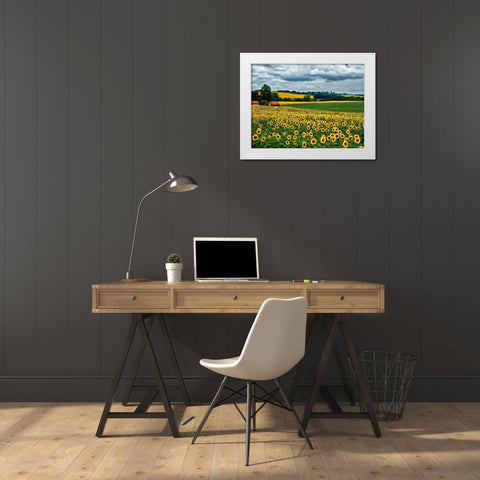 Pastoral Countryside IV White Modern Wood Framed Art Print by Chester, Colby
