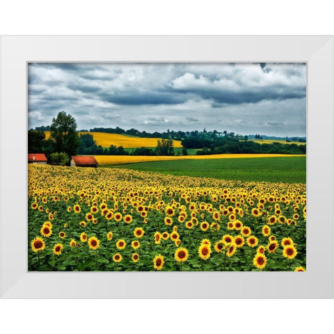 Pastoral Countryside IV White Modern Wood Framed Art Print by Chester, Colby