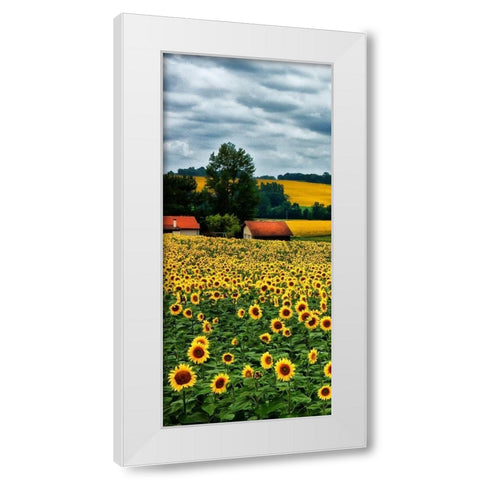Pastoral Countryside IV - A White Modern Wood Framed Art Print by Chester, Colby