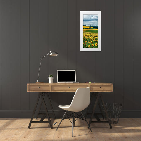 Pastoral Countryside IV - B White Modern Wood Framed Art Print by Chester, Colby