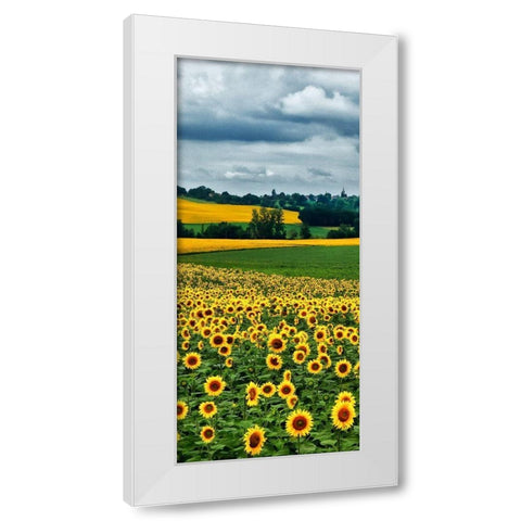 Pastoral Countryside IV - B White Modern Wood Framed Art Print by Chester, Colby
