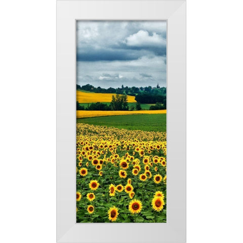 Pastoral Countryside IV - B White Modern Wood Framed Art Print by Chester, Colby