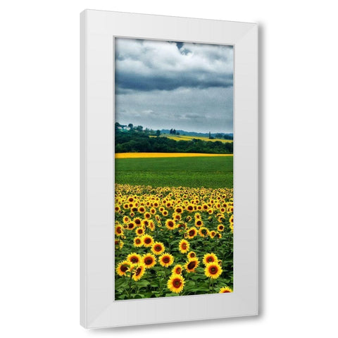 Pastoral Countryside IV - C White Modern Wood Framed Art Print by Chester, Colby