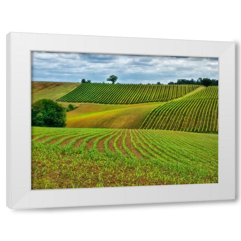 Pastoral Countryside VI White Modern Wood Framed Art Print by Chester, Colby