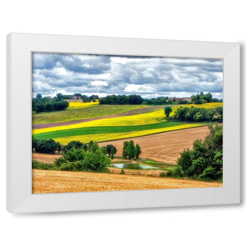 Pastoral Countryside VIII White Modern Wood Framed Art Print by Chester, Colby