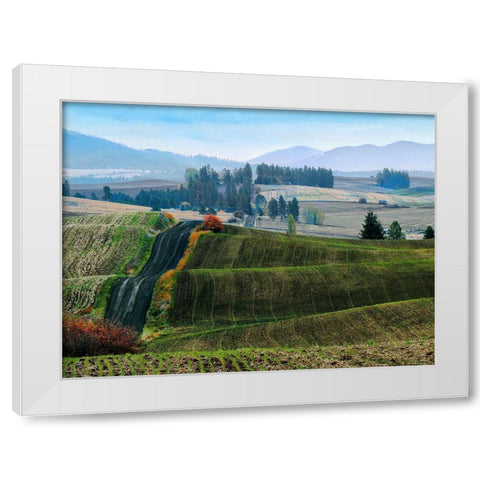 Pastoral Countryside XIII White Modern Wood Framed Art Print by Chester, Colby