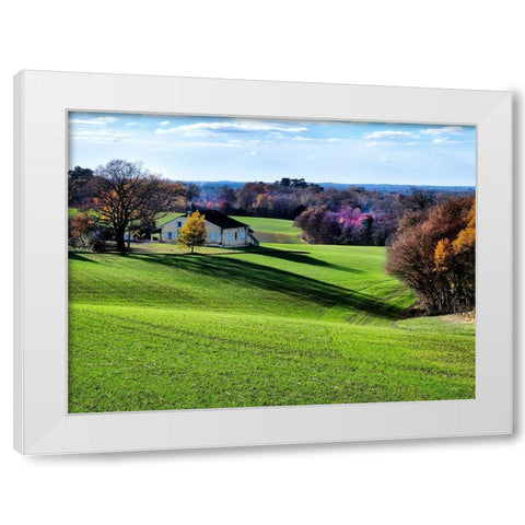 Pastoral Countryside XV White Modern Wood Framed Art Print by Chester, Colby