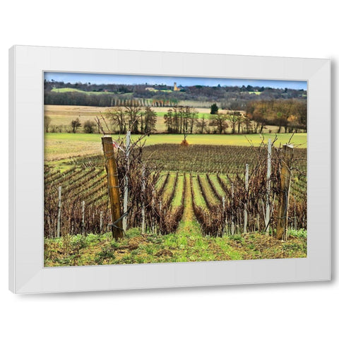 Pastoral Countryside XVI White Modern Wood Framed Art Print by Chester, Colby