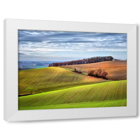 Pastoral Countryside XX White Modern Wood Framed Art Print by Chester, Colby