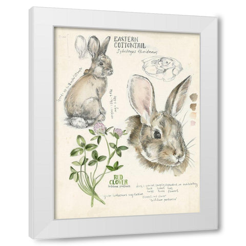Wildlife Journals II White Modern Wood Framed Art Print by Parker, Jennifer Paxton