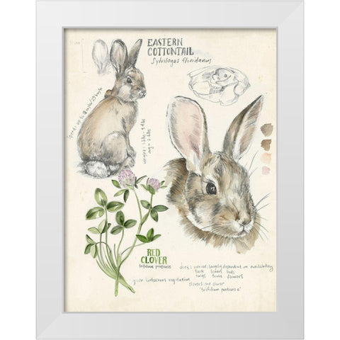 Wildlife Journals II White Modern Wood Framed Art Print by Parker, Jennifer Paxton