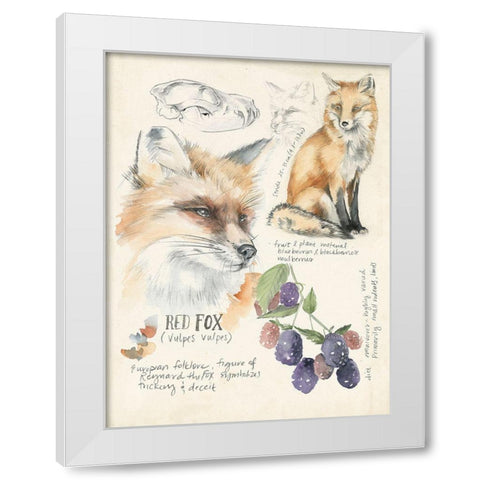 Wildlife Journals III White Modern Wood Framed Art Print by Parker, Jennifer Paxton