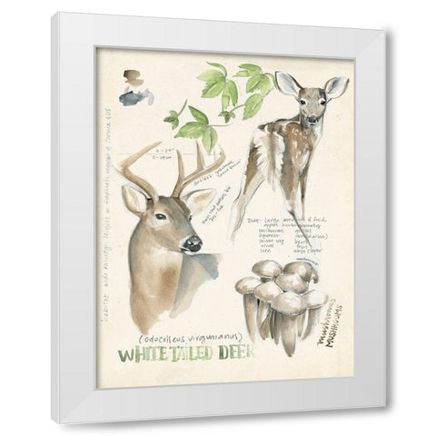 Wildlife Journals IV White Modern Wood Framed Art Print by Parker, Jennifer Paxton