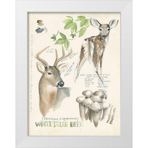 Wildlife Journals IV White Modern Wood Framed Art Print by Parker, Jennifer Paxton