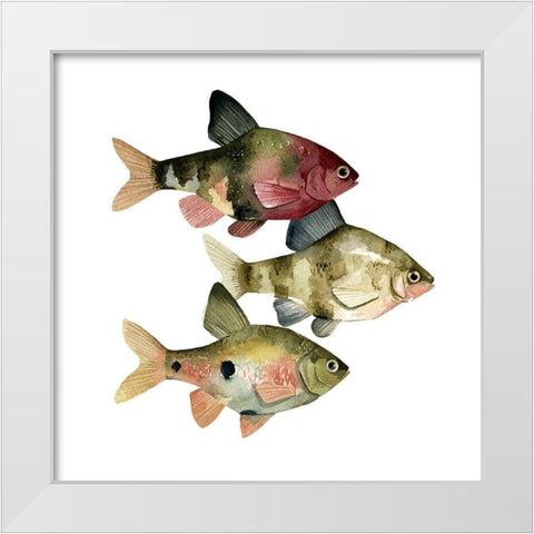 Rainbow Fish II White Modern Wood Framed Art Print by Scarvey, Emma
