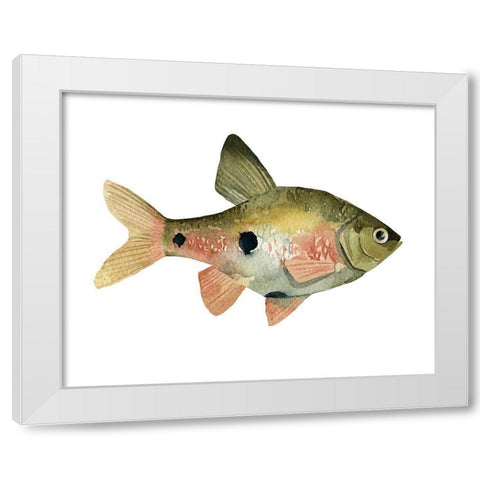 Rainbow Fish III White Modern Wood Framed Art Print by Scarvey, Emma