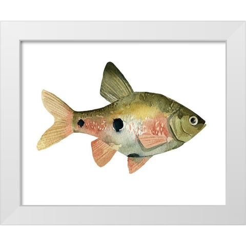 Rainbow Fish III White Modern Wood Framed Art Print by Scarvey, Emma