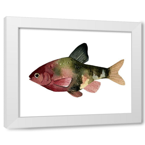 Rainbow Fish IV White Modern Wood Framed Art Print by Scarvey, Emma