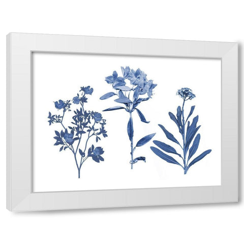 Indigo Pressed Florals II White Modern Wood Framed Art Print by Studio W