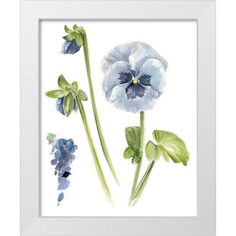 Pansy Study I White Modern Wood Framed Art Print by Parker, Jennifer Paxton