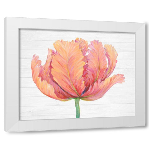 Single Pink Bloom I White Modern Wood Framed Art Print by OToole, Tim