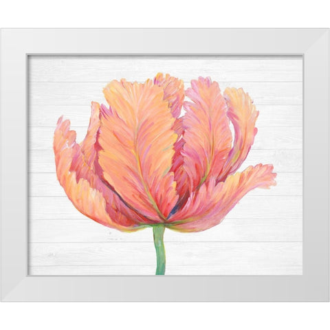 Single Pink Bloom I White Modern Wood Framed Art Print by OToole, Tim