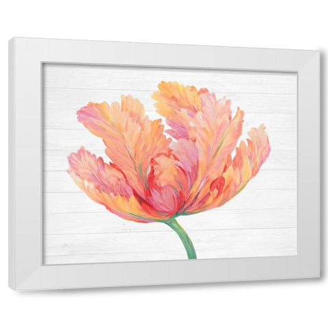 Single Pink Bloom II White Modern Wood Framed Art Print by OToole, Tim