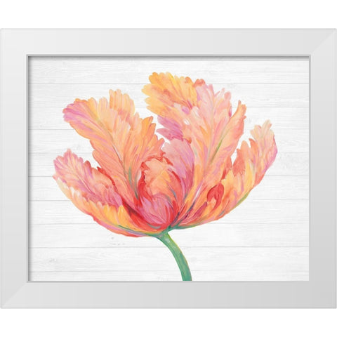 Single Pink Bloom II White Modern Wood Framed Art Print by OToole, Tim