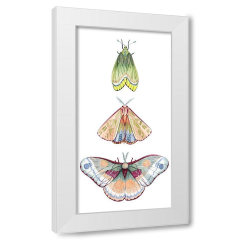 Moth Fairies II White Modern Wood Framed Art Print by Popp, Grace