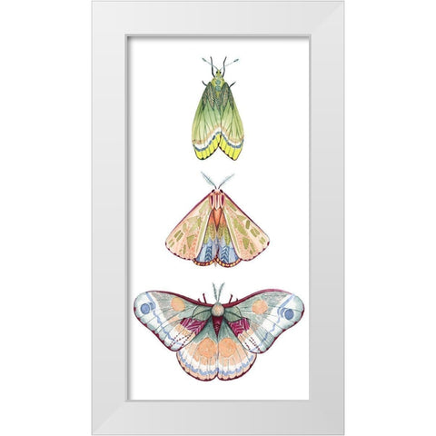 Moth Fairies II White Modern Wood Framed Art Print by Popp, Grace