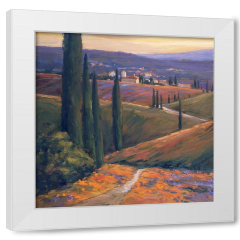 Afternoon I White Modern Wood Framed Art Print by Stevens, Allayn