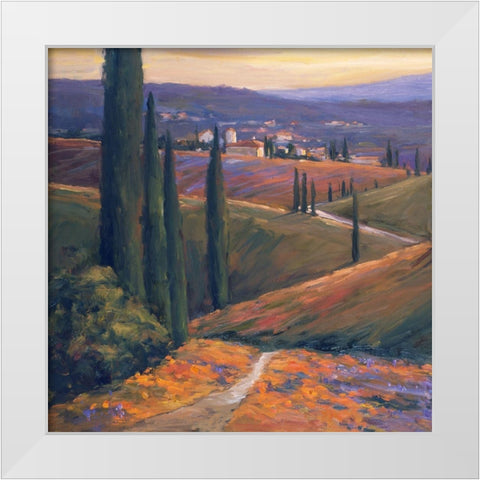 Afternoon I White Modern Wood Framed Art Print by Stevens, Allayn