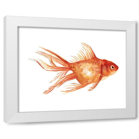 Ornamental Goldfish II White Modern Wood Framed Art Print by Scarvey, Emma