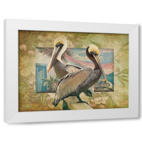 Pelican Paradise IV White Modern Wood Framed Art Print by Hunziker, Steve